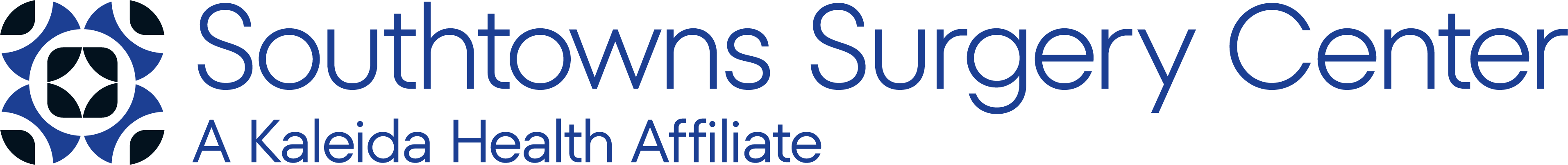 Southtowns Surgery Center logo
